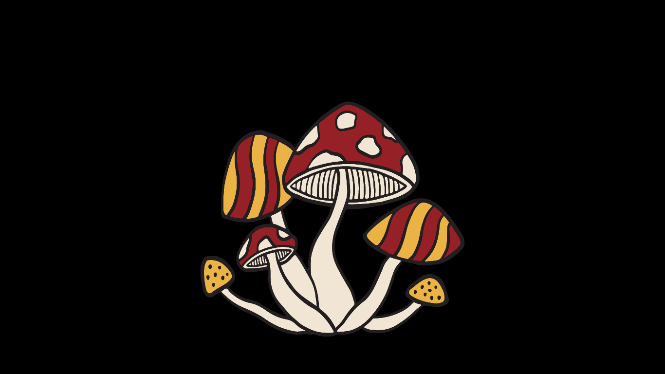 Easy Day Supplements. Mushroom supplements collection Picture 