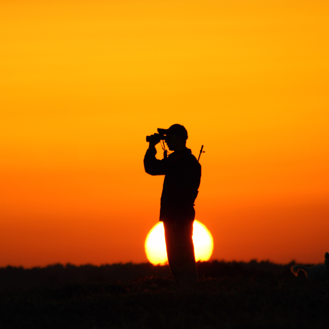 Mental Clarity & Energy